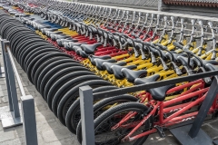 'Six Million Bicycles': for hire on Xi'an city Wall, China (2019)