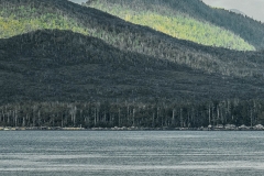 Whale spotting, sailing from Vancouver, Canada, to Juneau, Alaska (2016)