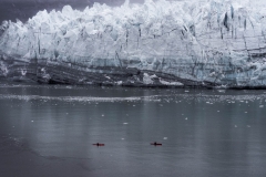 Margerie/Pacific Glaciers, Glacier Bay National Park, Alaska (2016)