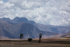 'Misty Mountains': near the Moray archaeological site, Peru, 2012