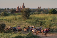 Folio 303: Bagan, Myanmar, Evening