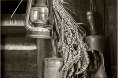 Folio 318: Grain Scoops, Clayton Windmill